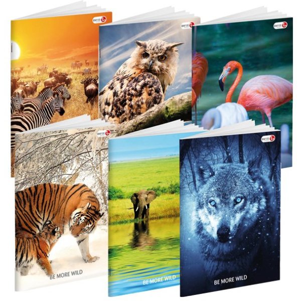 MAXIQUADERNO A4 36FG+2 100GR 4MM WILD BE MORE SPECIAL 2018 BM - Z12884