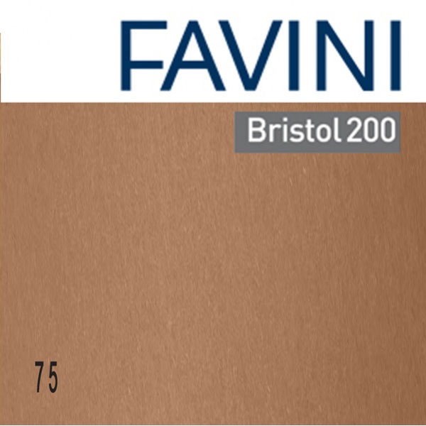 CONF.25 CARTONCINO BRISTOL COLOR 200GR 50X70CM MARRONE 75 FAVINI - Z13063