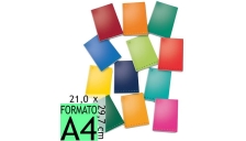 Pigna - 02217791R