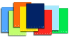 Maxiquaderno A4 40fg+2 80gr 2 colonne monocromo pigna - Z00521