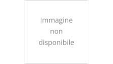 MEMORIA USB 2.0 C350 128GB ARANCIONE - Z15664