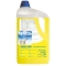 Detergente profumato per pavimenti Sanitec - 5 Kg - 1435